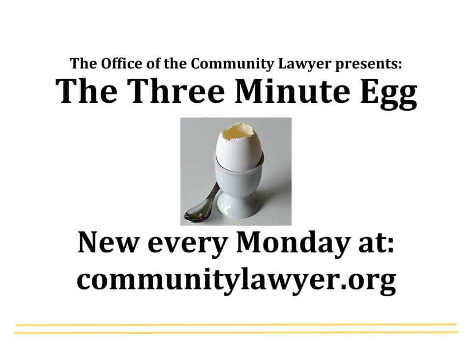 Three Minute Egg (1)