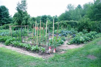 Town Garden is Winsted's hidden gem